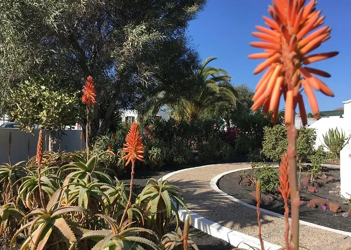 Tatil Evi Casa Beatriz